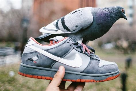 Nike SB dunk low nyc pigeon